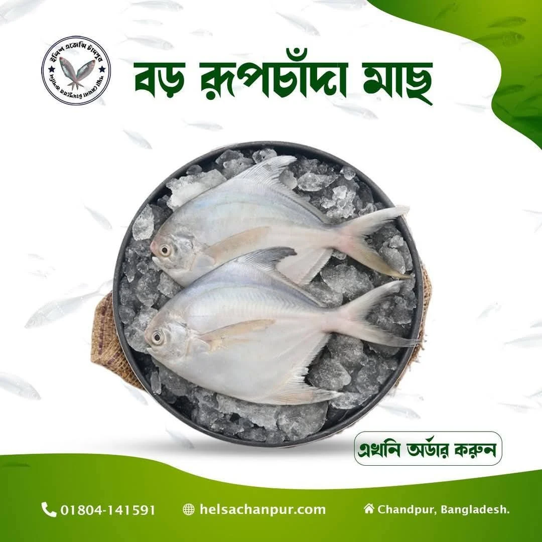 রূপচাঁদা