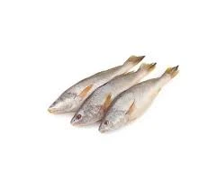 পোয়া মাছ